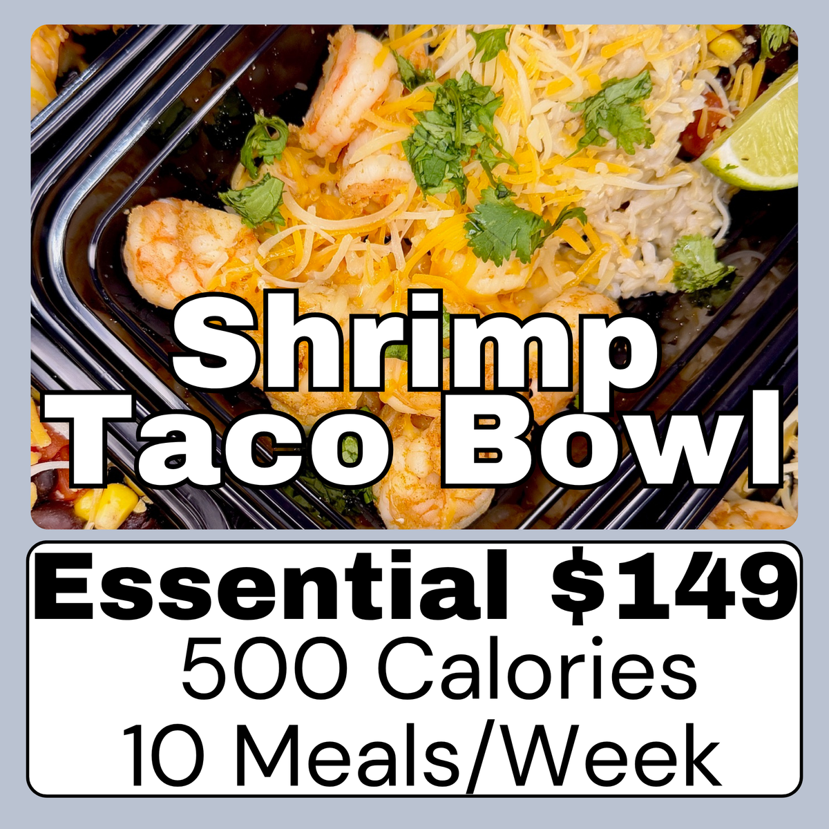 Essential Plan - 500 Cal