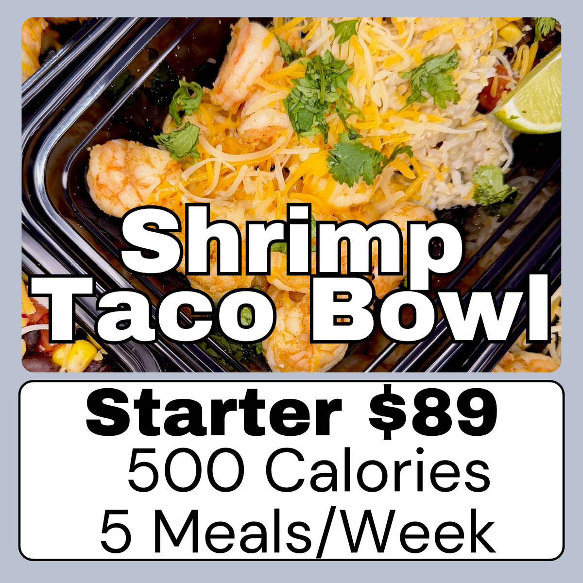 Starter Plan - 500 Cals